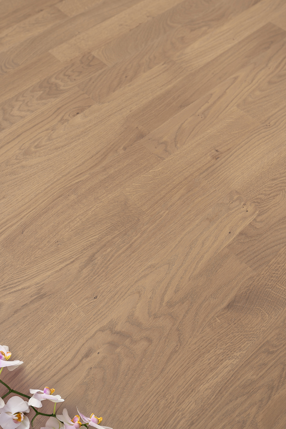 ДУБ ASTER DEEP MATT 3S